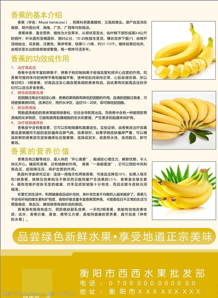 香蕉种植香蕉熟了