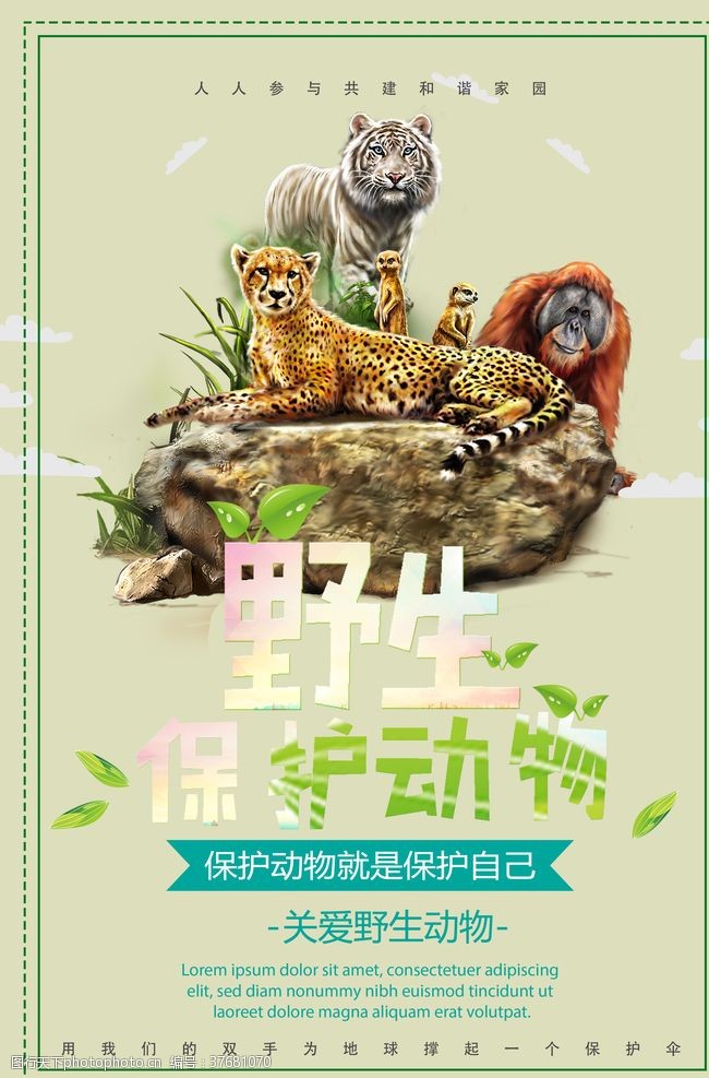 爱护生命健康保护野生动物公益海报