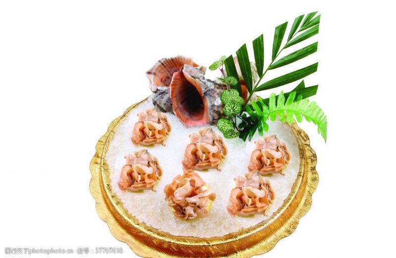 中华菜肴海螺姿造