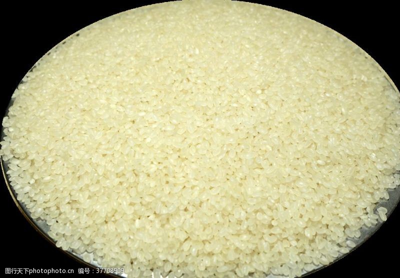散米散装珍珠米