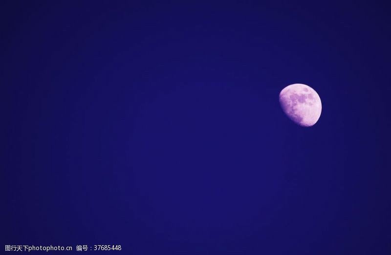 海星月亮