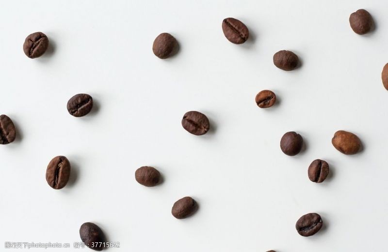 茶水咖啡豆素材