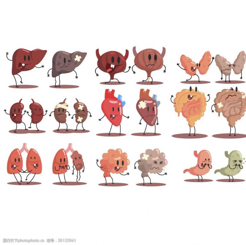 肝细胞卡通器官