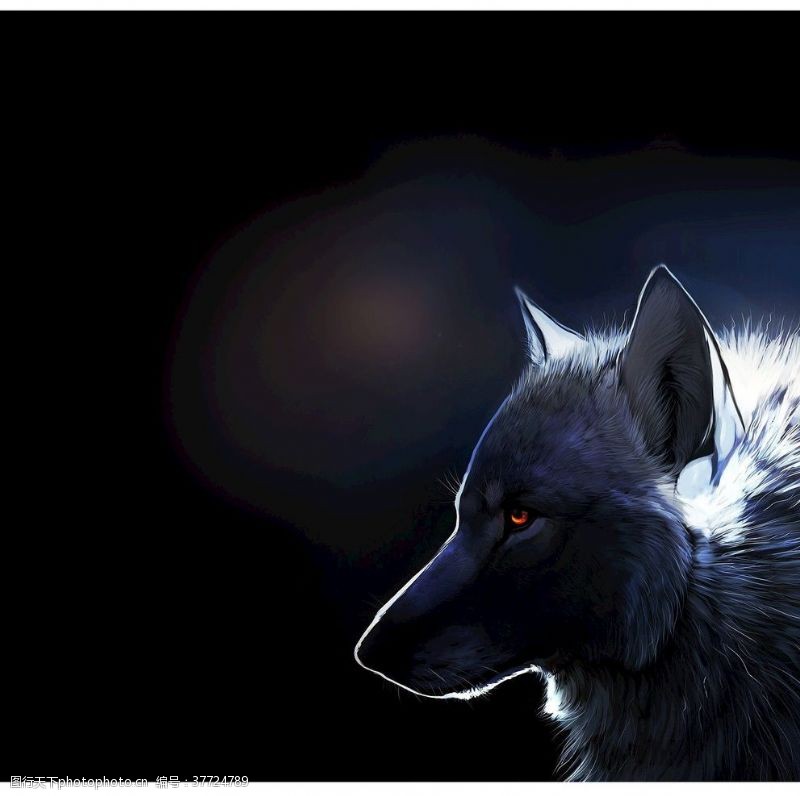 孤狼狼图案素材