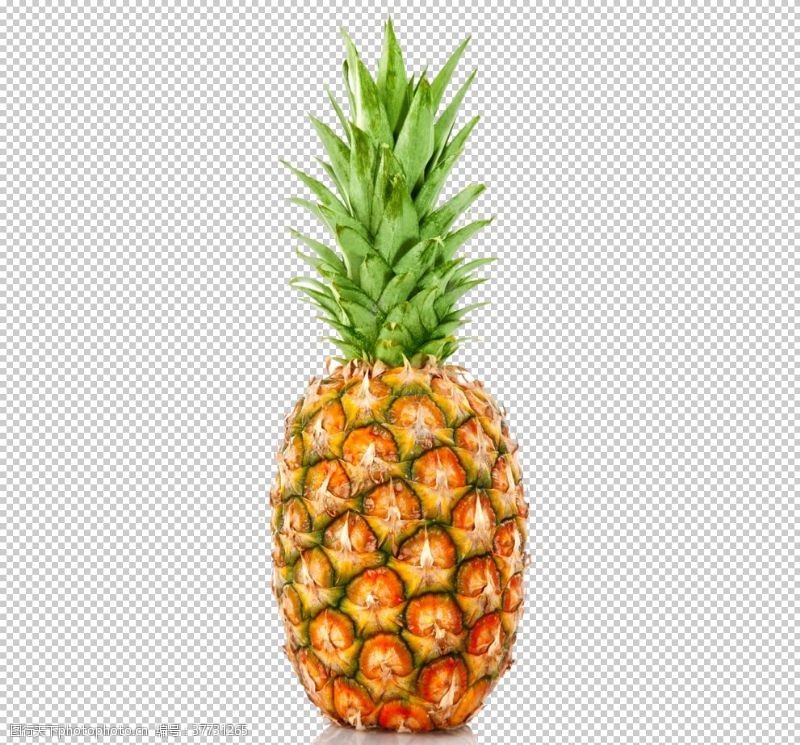 水果之王菠萝