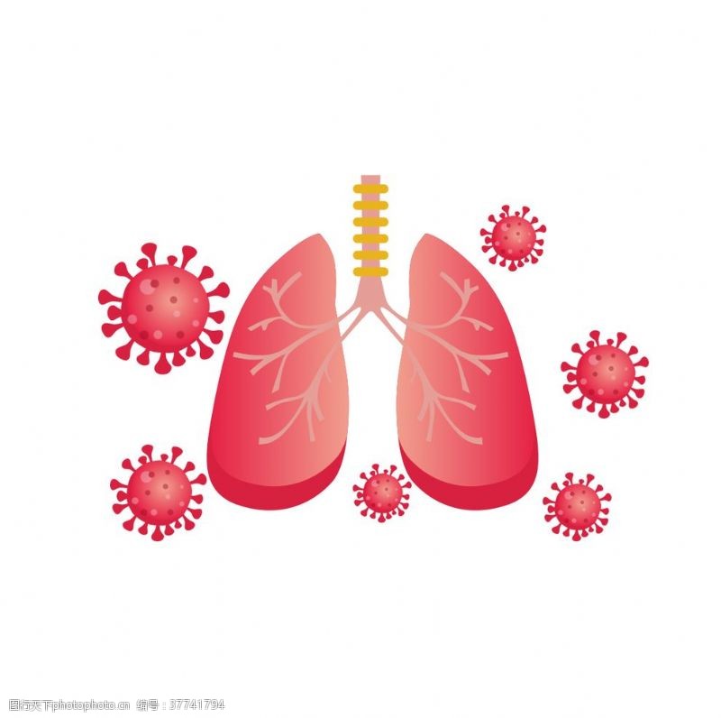 人体器官图肺肺图片肺炎