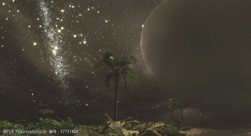 海星夜空月球树木