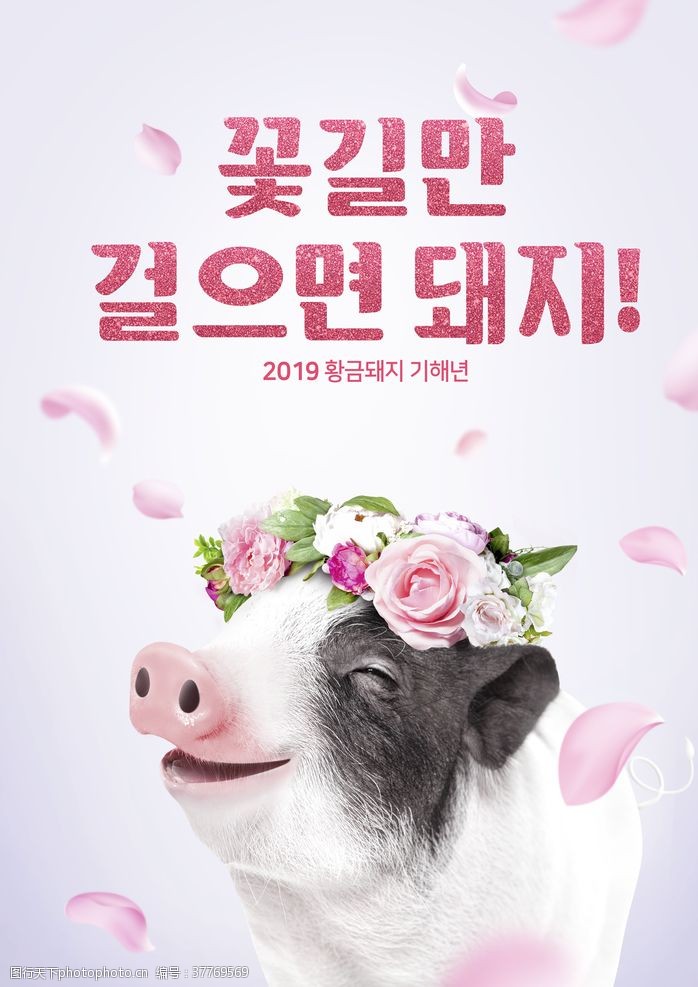 猪年大吉春节海报