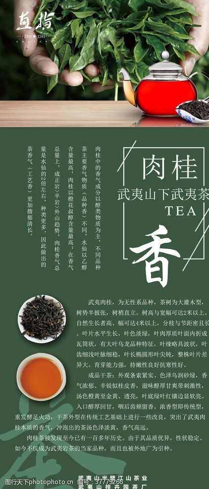 茶文化画册茶叶香