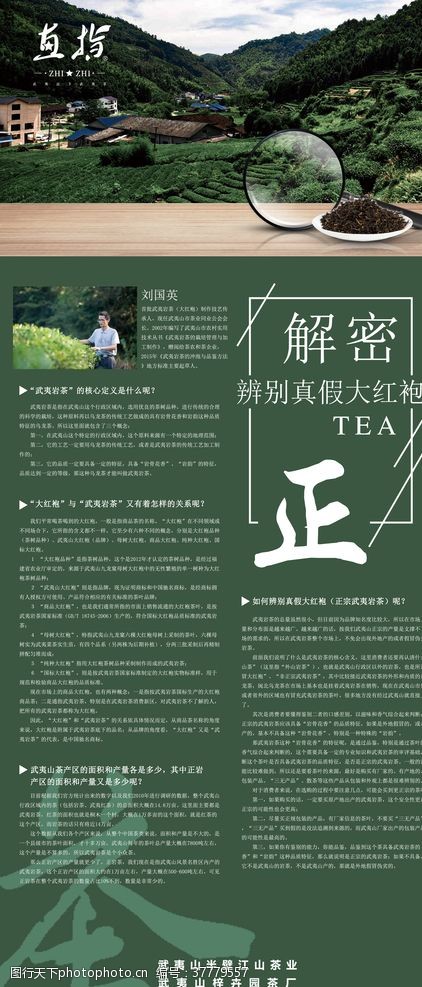 茶文化画册茶叶正
