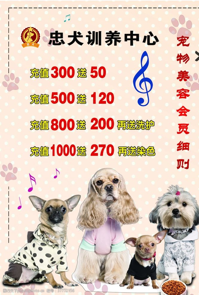 宠物领养宠物店海报价目表