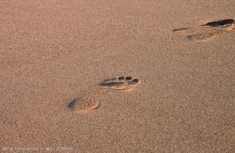 印度洋脚印鞋印足迹痕迹