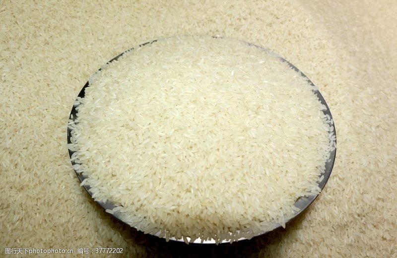散米散装油粘米