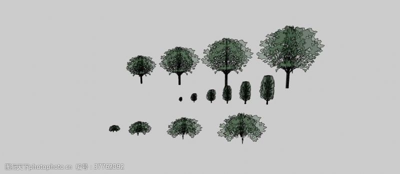 树木模型树丛skp模型