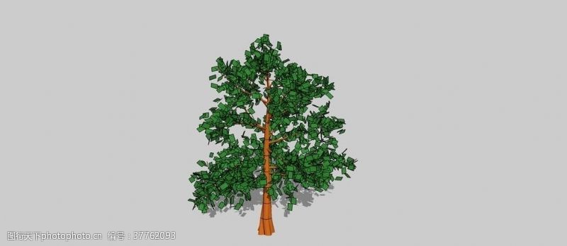 树木模型树skp模型