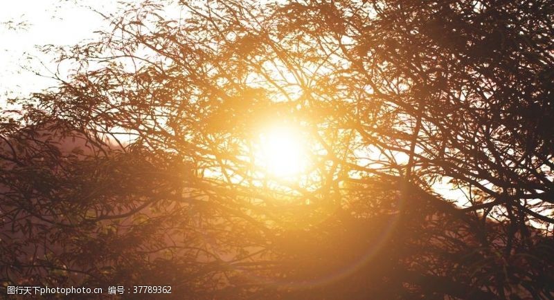 光彩夺目太阳