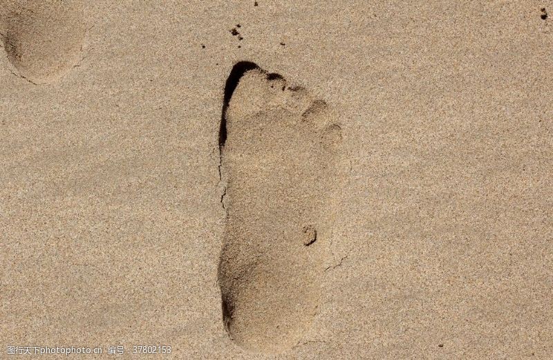 印度洋脚印鞋印足迹痕迹