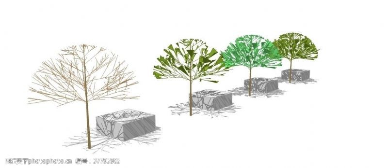 树木模型景观树skp模型