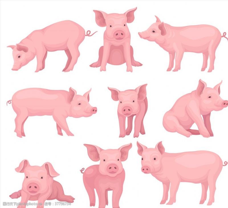 猪年形象卡通小猪