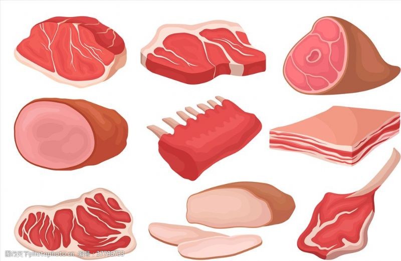 线描动物插画肉类