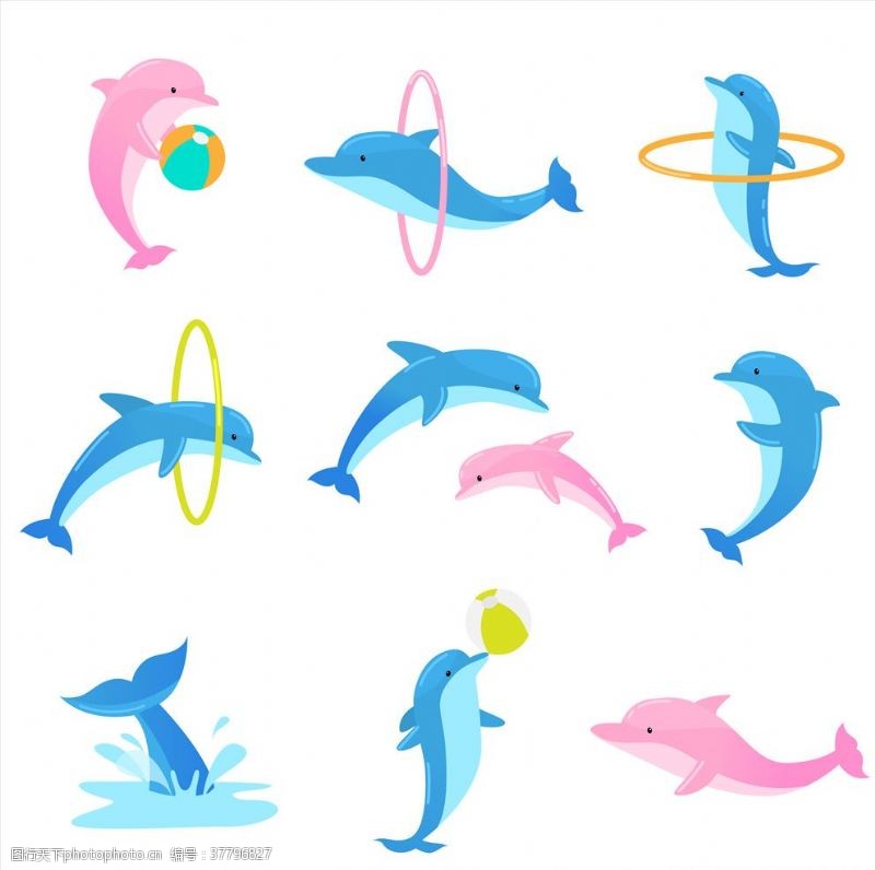 蓝色小精灵海豚