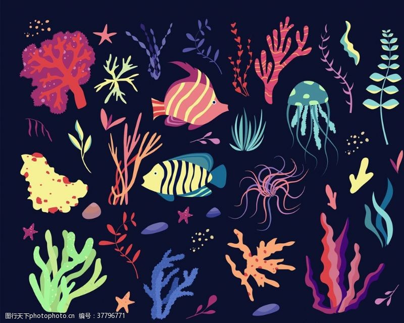 海底珊瑚海洋生物