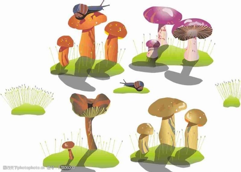 采蘑菇蘑菇蜗牛草坪