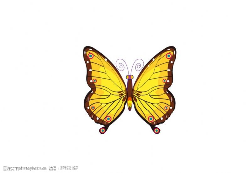 线描动物蝴蝶ai矢量设计图