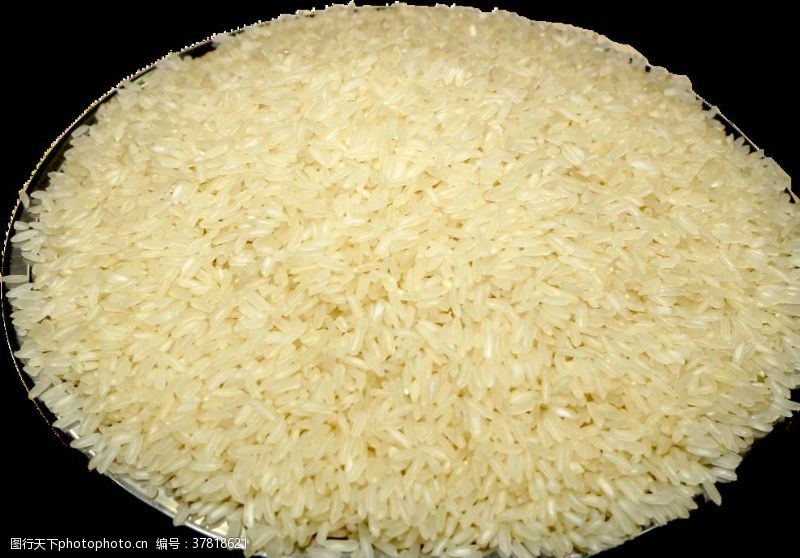 散米散装大米