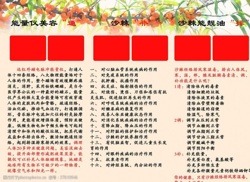 中医养生折页水果宣传单