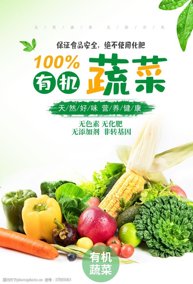 农场宣传单有机蔬菜海报