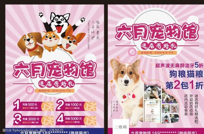宠物店彩页宠物店宠物馆开业宣传单