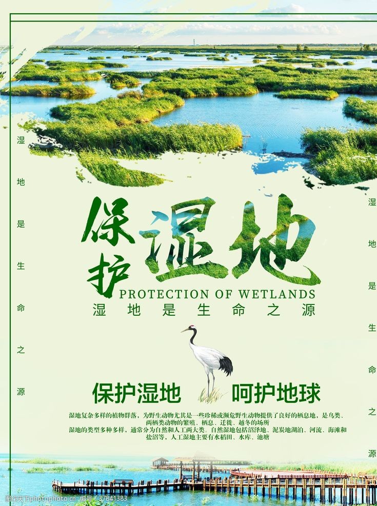 湿地保护区湿地海报