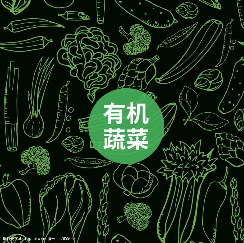 农场宣传单蔬菜水果矢量图海报