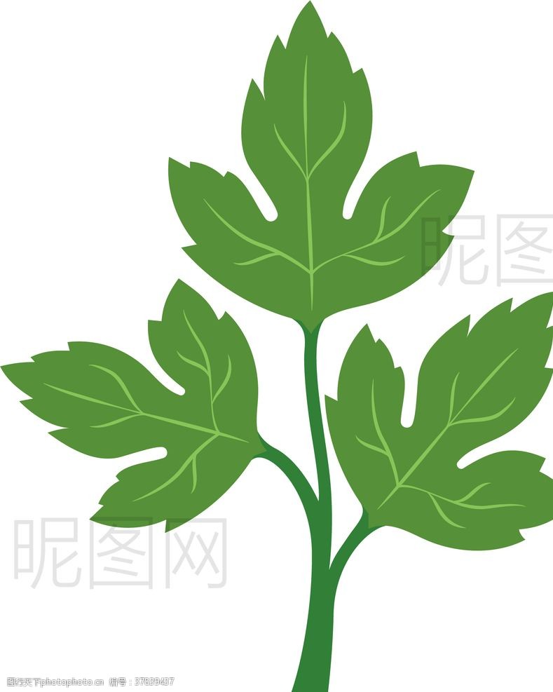 米粒标志香菜