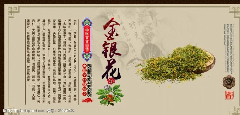 药壶中国风传统中药材展板