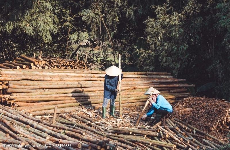 木材厂伐木工人