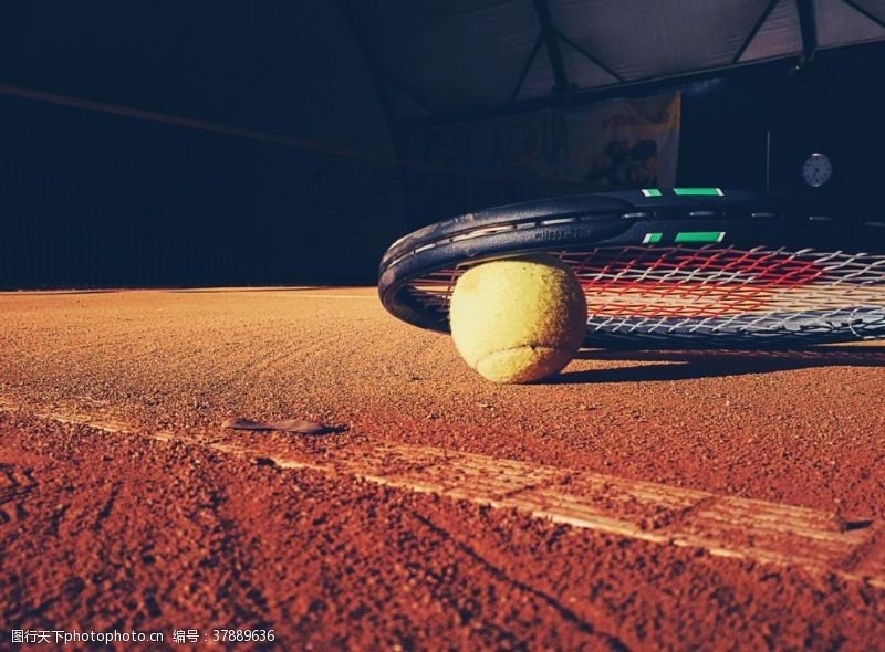 赛场竞技网球网拍