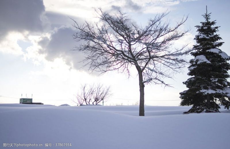 雪景色图片免费下载 雪景色素材 雪景色模板 图行天下素材网