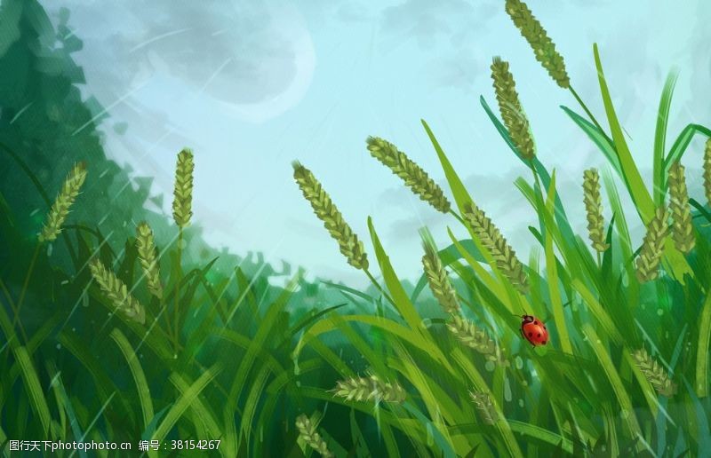 分类春季草坪清新插画卡通背景素材