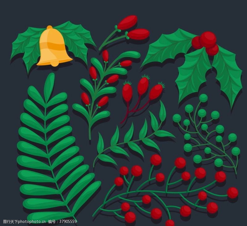 彩绘物件精美圣诞植物设计