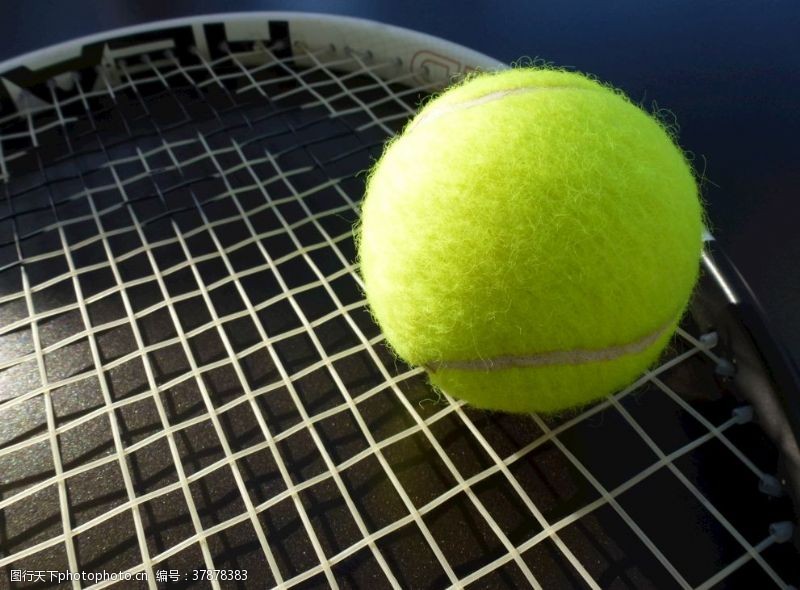 体育赛事网球