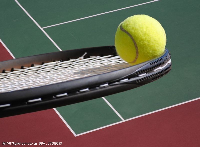 赛场竞技网球网拍