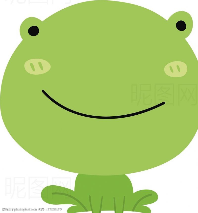 小龟王青蛙