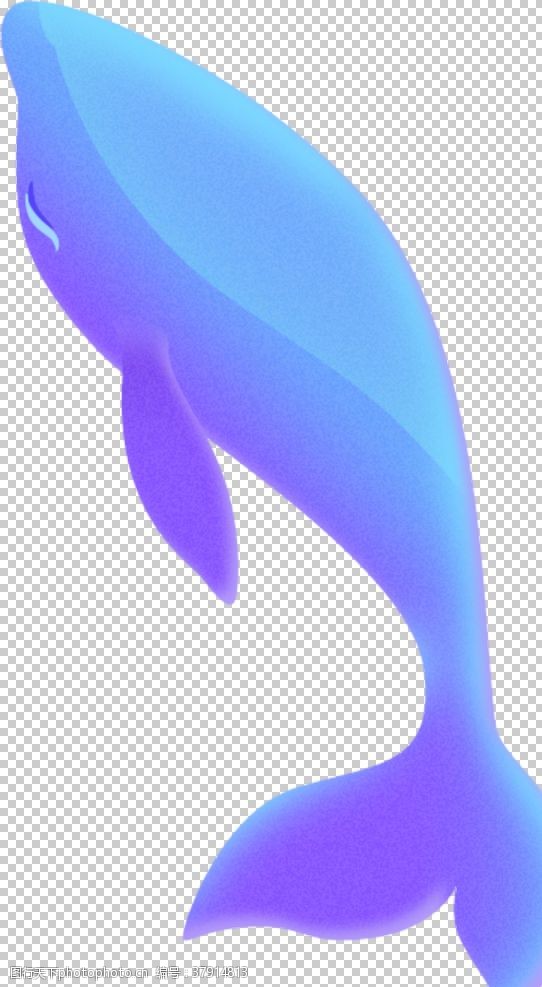 蓝色海洋美女广告海豚鲸鱼