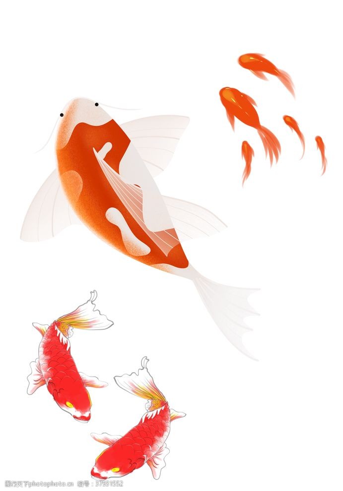 创意中国风插画锦鲤