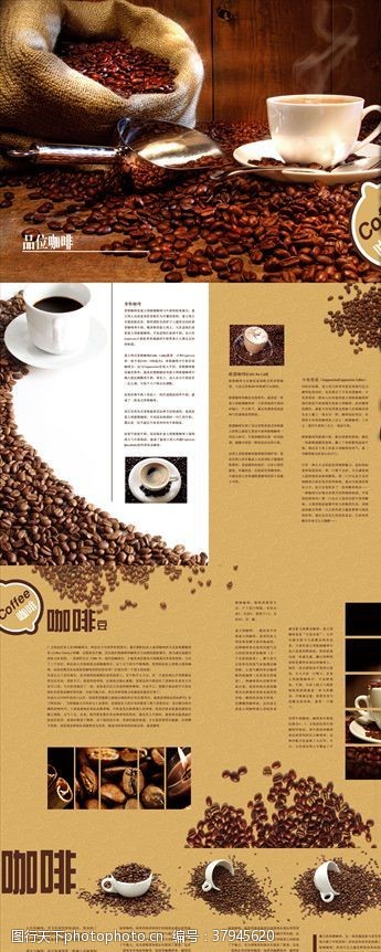 咖啡豆杂志咖啡杂志内页排版设计
