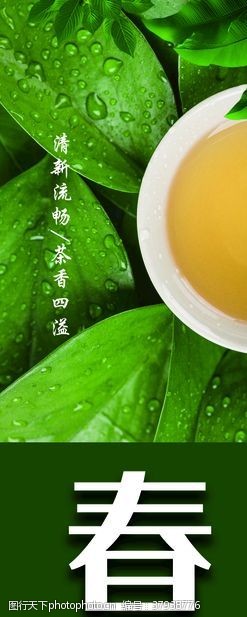 茶制作流程茶海报