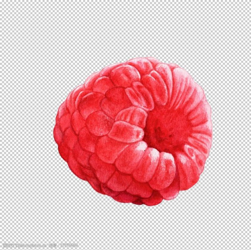 手机壳抠图红树莓