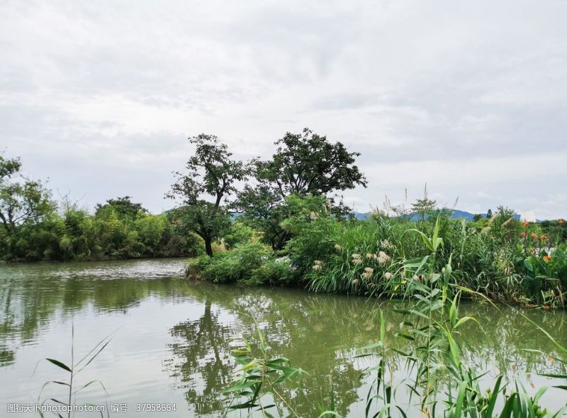 杭州西湖景点西溪湿地